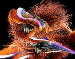 Быстров про Станковича: «Не справится в «Спартаке». Команда хочет играть, но, #####, тренер ей мешает. Неустойка максимум 3 млн долларов – сэкономьте на трансфере, чем терпеть эту херню»