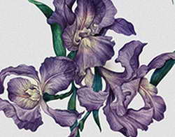 Евро не сдаётся без боя