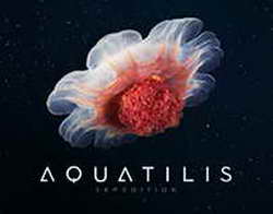 Кудашов об отставке из «Динамо»: «Все было очень скверно и неприятно. Всегда есть заговорщики, исполнители и приспособленцы – классический сюжет»