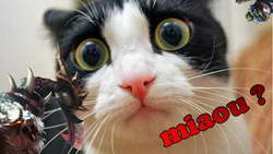 Организация пространства: выбор между типовой и заказной мебелью