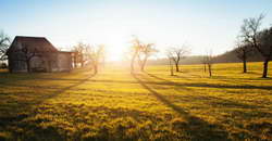 Левандовски может завершить карьеру, если «Барса» не предложит ему новый контракт (Diario Sport)